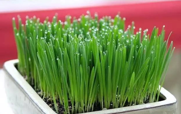 「大便」變細還帶血?最好去檢查一下,警惕腸道長腫瘤了