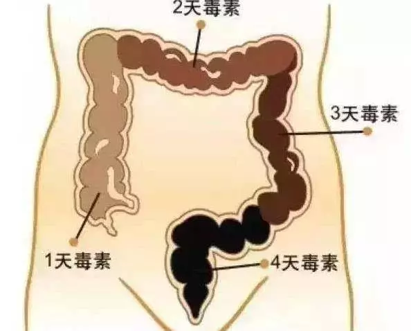 「大便」變細還帶血?最好去檢查一下,警惕腸道長腫瘤了