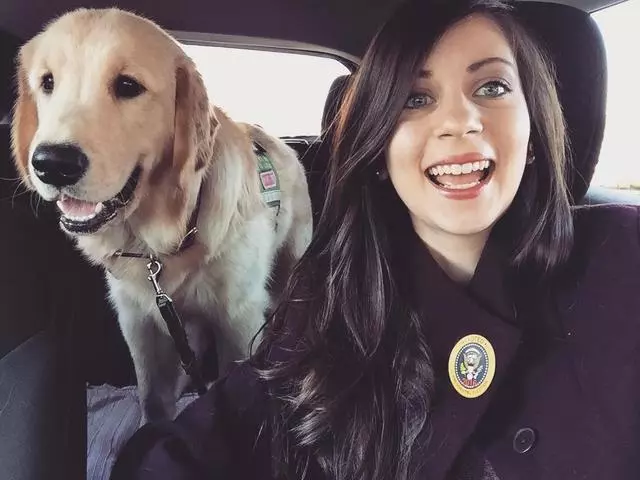 服務犬進入迪士尼玩耍,因開心被罵不專業,主人力撐狗狗還擊網友