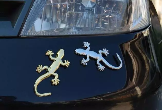 車尾掛「壁虎」是什麼意思?聽老司機說完,後悔現在才知道!