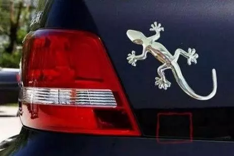 車尾掛「壁虎」是什麼意思?聽老司機說完,後悔現在才知道!