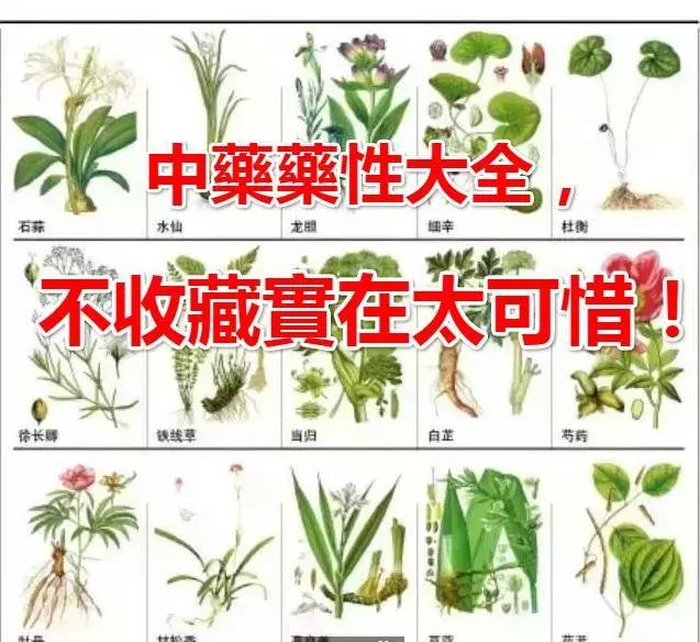 中藥藥性大全!太齊全了,不收藏實在可惜!