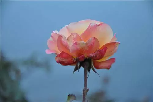 夫妻緣盡,難逃3個徵兆