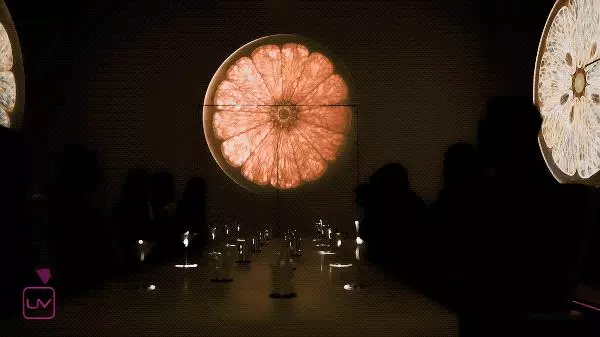 8000塊吃頓飯:讓人六感高潮的上海餐廳,有錢也得排隊3個月