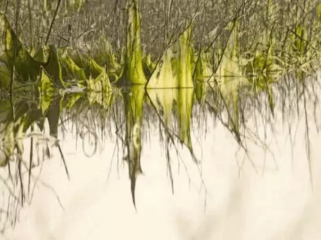 世界上最毒的4條河,不是污染嚴重,就是充滿毒素,生物活不下去
