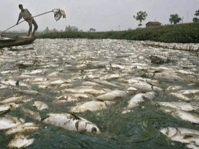 世界上最毒的4條河,不是污染嚴重,就是充滿毒素,生物活不下去