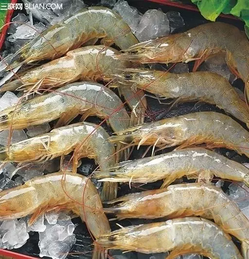 蝦買多了怎麼辦?教你3招,這樣保存蝦多久蝦頭再也不會變黑,別再直接放冰箱了