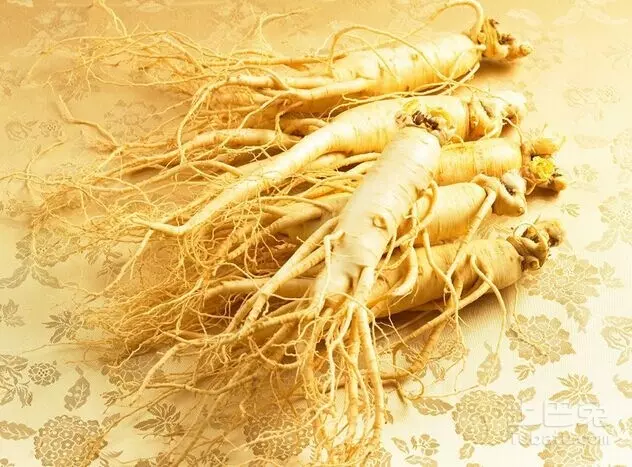 故事:老漢采了千年人參,一夜暴富,老道看出端倪:闖禍了