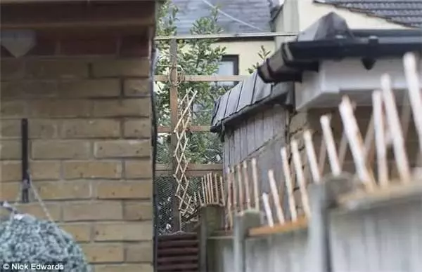 土地被鄰居占了7.6公分後,屋主憤而告上法庭,5年後的後續發展讓一票網友跌破眼鏡!