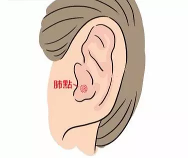 中醫穴位養生:按摩耳朵5穴道,調整荷爾蒙、排毒又健腦