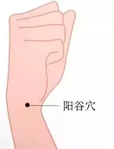 我們來學習陽谷穴,它被人們稱之為「不老穴」!