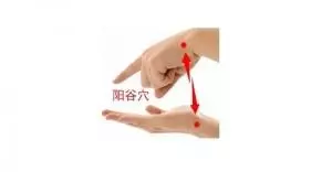 我們來學習陽谷穴,它被人們稱之為「不老穴」!