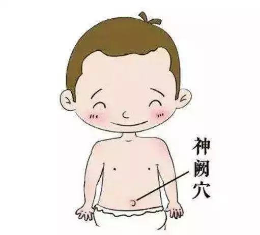 肚臍是個「補陽神穴」,你會用麼?