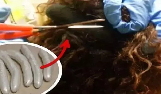 毒販為了販毒,無所不用其極,超乎你的想像