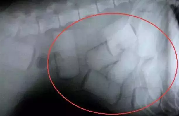 毒販為了販毒,無所不用其極,超乎你的想像