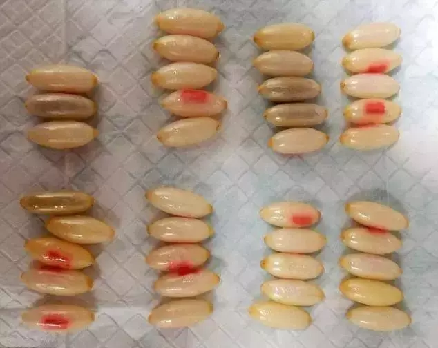 毒販為了販毒,無所不用其極,超乎你的想像