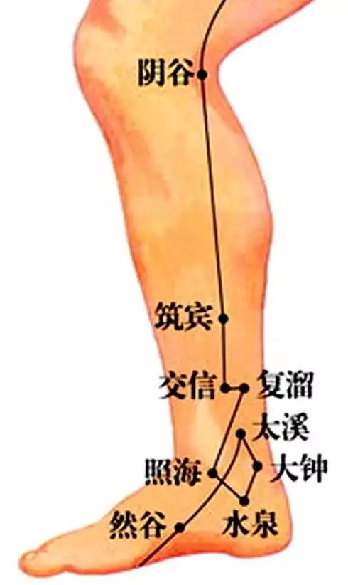 張醫生教您穴位按摩從此告別醫院!