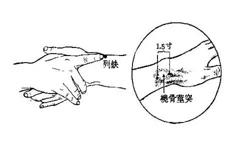 十二原穴十五絡穴八會穴,複雜的經絡圖怎麼更好的掌握學習