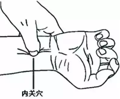 十二原穴十五絡穴八會穴,複雜的經絡圖怎麼更好的掌握學習