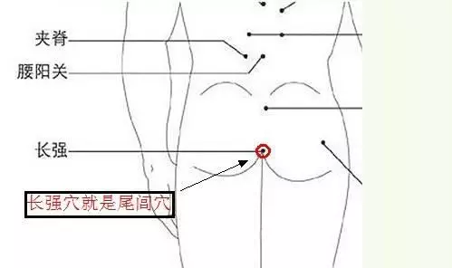 十二原穴十五絡穴八會穴,複雜的經絡圖怎麼更好的掌握學習