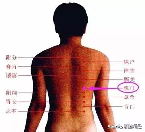 如果「渾身痛」,試試這倆穴位