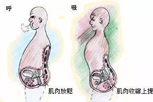 最全養生要點,10歲—100歲,健康長壽到白頭