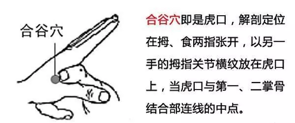 59 轉發 微博 Qzone 微信