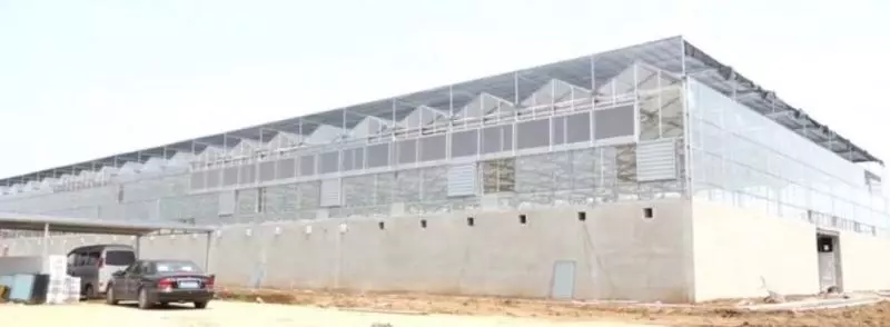 革命性垃圾處理法!中國工廠靠10億隻蟑螂 輕鬆清光「55噸廚餘垃圾」台灣也可以馬上仿傚~