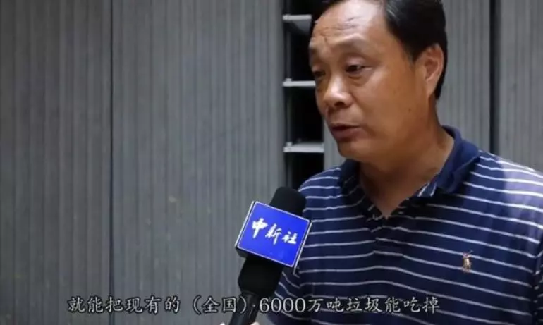 革命性垃圾處理法!中國工廠靠10億隻蟑螂 輕鬆清光「55噸廚餘垃圾」台灣也可以馬上仿傚~
