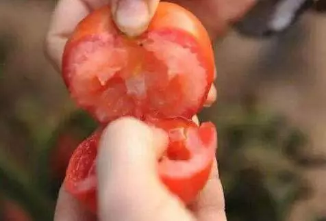 買菜時要多注意了,這「幾種蔬菜」再便宜也別買,嚴重時還有致癌風險!