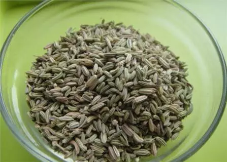 茴香加食鹽,堅持10天,腰腿痛不見了,連腰突、坐骨痛也消了