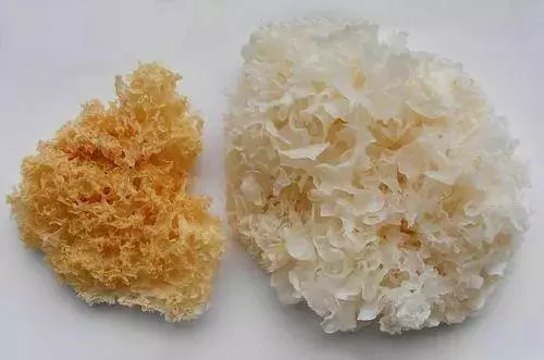 買菜時這4種菜多便宜都不要買,菜農自己都不吃,告訴身邊人別再受害,尤其是第二種