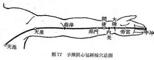 血管堵了,醫生1個「救命穴」緩解心絞痛,每天5分鐘,血管暢通無阻,恢復血管彈性