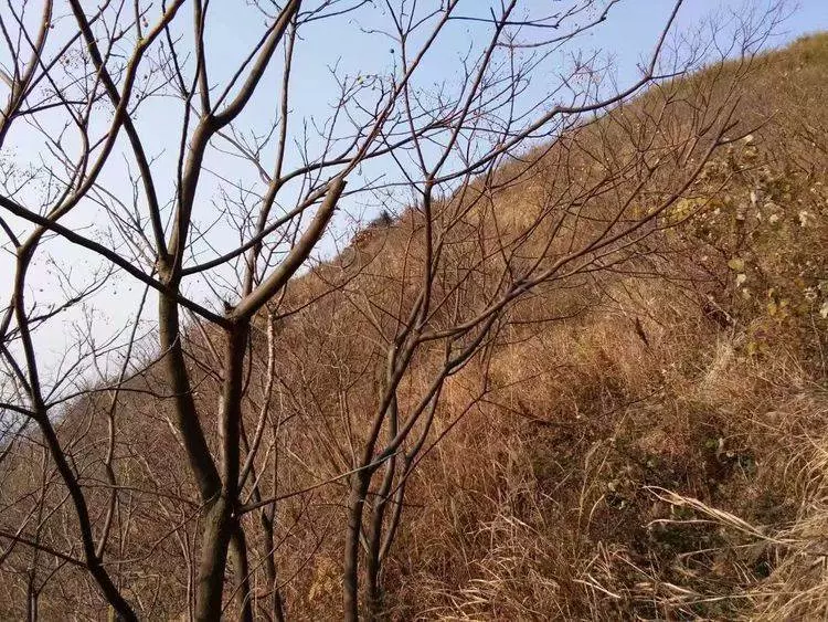 女子進山洞躲雨，發現山洞裡有一群和尚，想逃跑卻來不及了