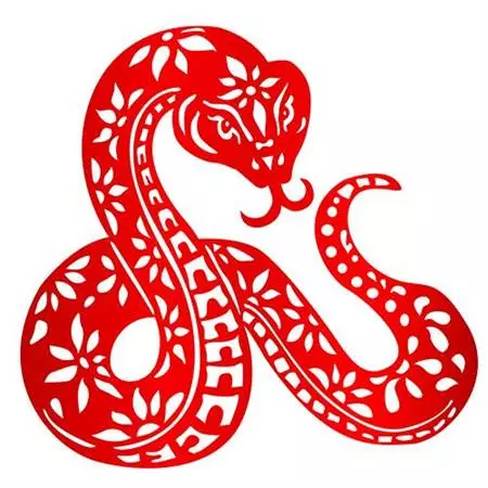 2019年哪些生肖犯太歲?屬這4個的要注意