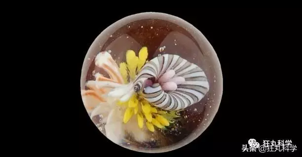 玻璃球里的花紋是怎麼弄進去的?看完童年之謎終於解開了