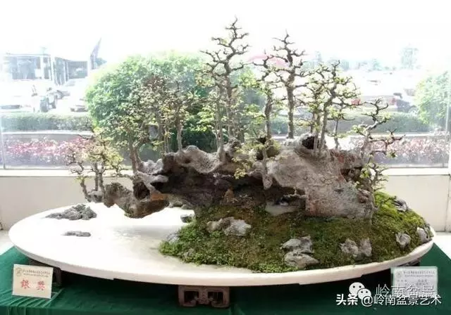中外頂級盆展亮點作品回顧