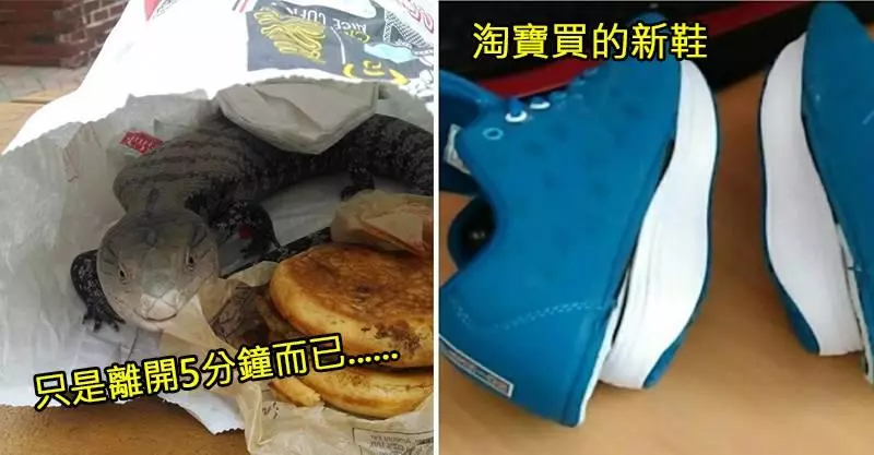 25個「這世界就是不想讓你好過」的驚喜時刻 媽媽看著女兒「一口吃杯子」的表情:◎口◎