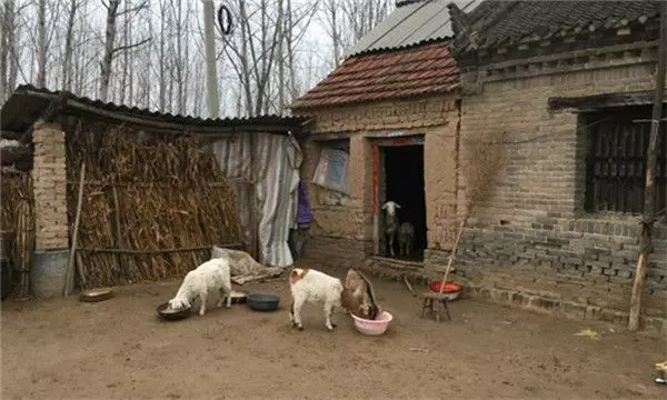 婆婆病危,小姑趁機拿走存摺,嫂子上門索要,推開門癱地上