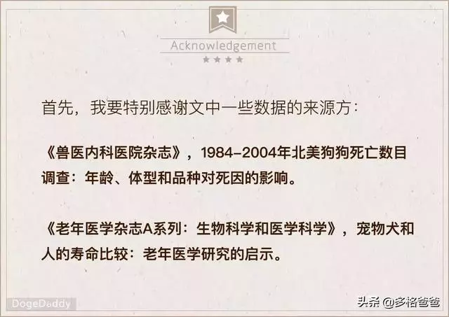 下一個狗年,它還會在嗎?狗狗的壽命究竟有多長