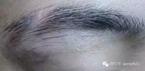 「男人看鼻,女人看眉」不想破財傷災、窮困潦倒,這10種眉毛一定要改! !