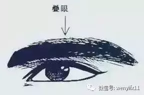 「男人看鼻,女人看眉」不想破財傷災、窮困潦倒,這10種眉毛一定要改! !