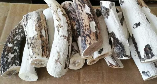 十腿九疼?杜仲+五味子,是「腰突」救命藥,腰不疼了,連腿腳麻木都趕跑了