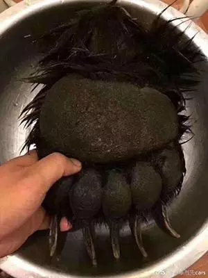 網友曬穿山甲、熊掌還有鯊魚「年夜飯」引起網友眾怒!隔天當事人出來澄清,讓大家更討厭...!