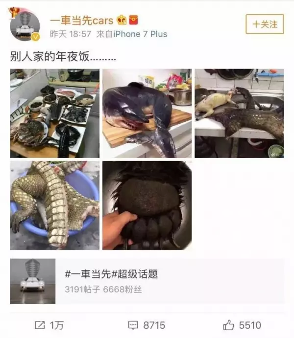網友曬穿山甲、熊掌還有鯊魚「年夜飯」引起網友眾怒!隔天當事人出來澄清,讓大家更討厭...!