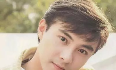 復合已無望,揭露張柏芝、謝霆鋒當年離婚真相,謝霆鋒責任更大?
