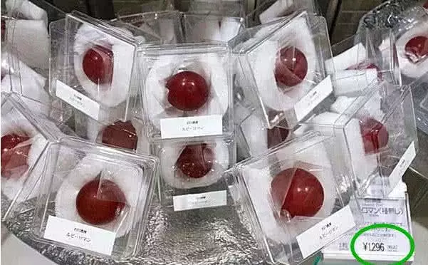 日本的水果到底多貴?日本人內心:我也想捧著西瓜,用勺挖著吃!