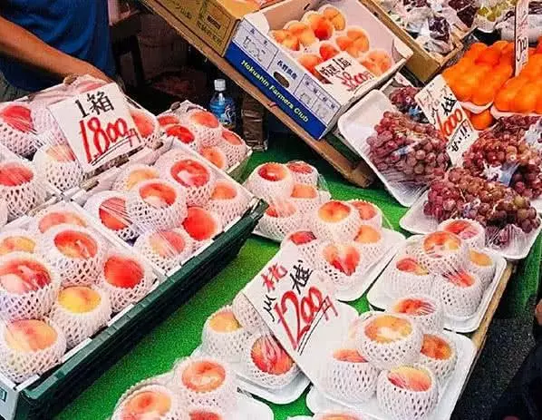 日本的水果到底多貴?日本人內心:我也想捧著西瓜,用勺挖著吃!