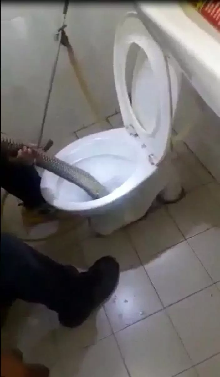 峨崙南北大道休息站 馬桶出現過江龍!
