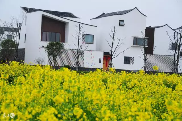 娶了大5歲的寡婦,遭人冷嘲熱諷,婚後她告訴我一個「秘密」,3年後全村人傻了眼!